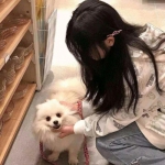 九游战玲珑手游下载
